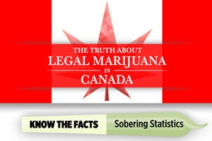 Cariati Law Releases Informative Download on Marijuana Laws