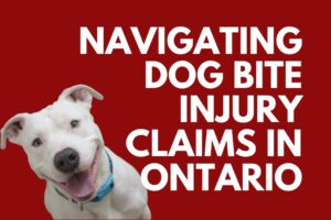 Dog Bite Lawyers Toronto