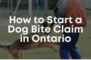 How to start a dog bite claim in Ontario after a dog bites you.